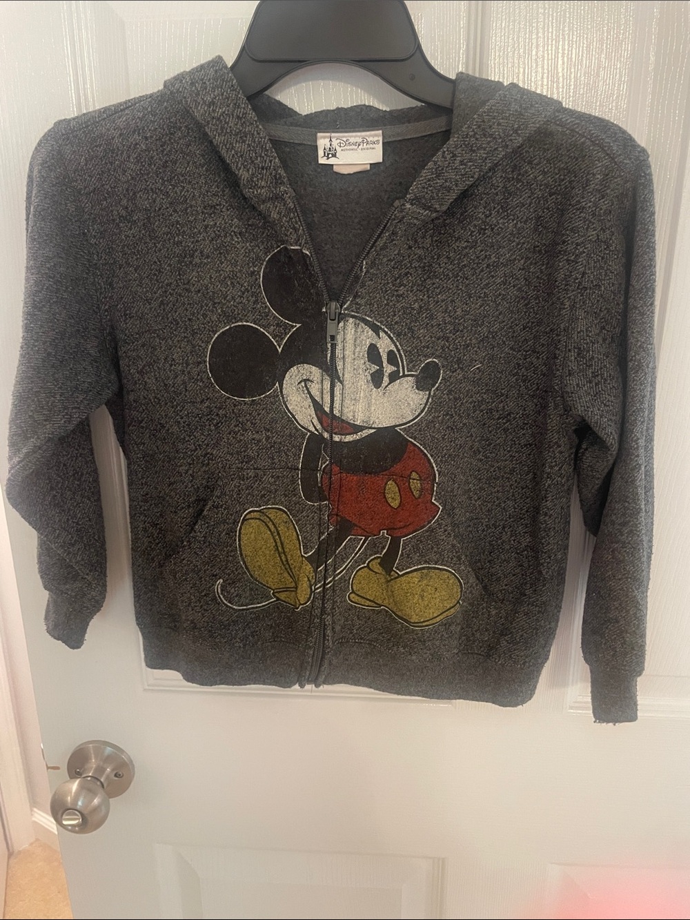 Disney Parks Zippered Hoody Size Small